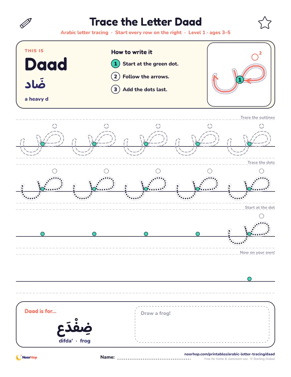 Arabic letter Daad (ض) tracing worksheet with outlined and dotted letters on right-to-left handwriting lines and a box to draw a frog