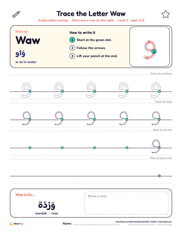 Arabic letter Waw (و) tracing worksheet with outlined and dotted letters on right-to-left handwriting lines and a box to draw a rose