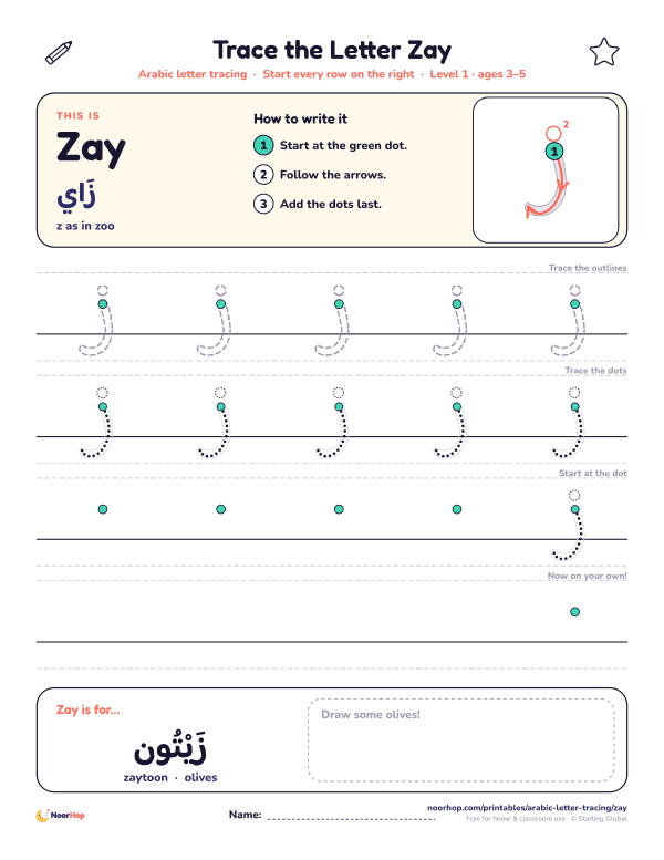 Arabic letter Zay (ز) tracing worksheet with outlined and dotted letters on right-to-left handwriting lines and a box to draw some olives