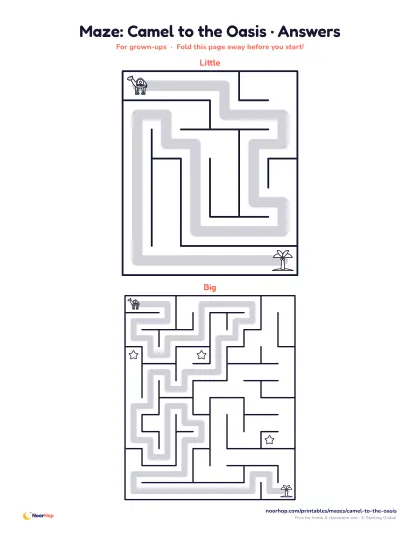 Camel to the oasis maze — page 3