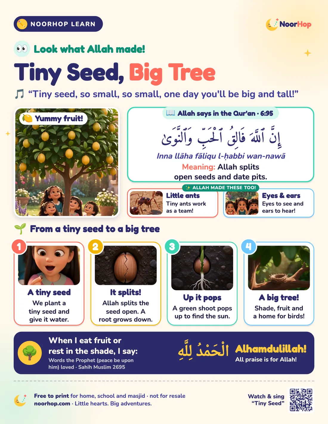 Tiny Seed, Big Tree poster for kids with children under a lemon tree, Qur'an 6:95 in Arabic, four picture steps from seed to tree, and Alhamdulillah