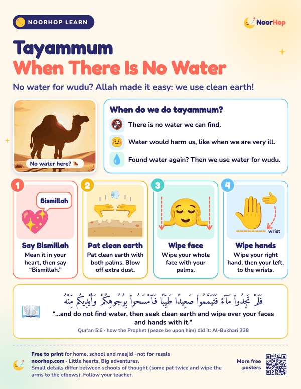 Tayammum poster for kids with a camel in the desert, when to do tayammum, four numbered picture steps and Qur'an 5:6 in Arabic